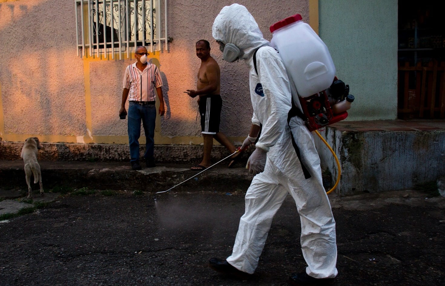 Protocolos de seguridad en tratamientos de desinsectación